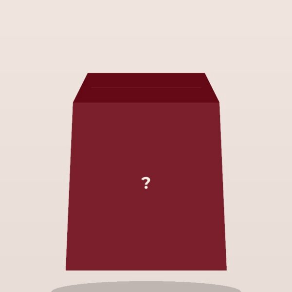 Mystery Bag